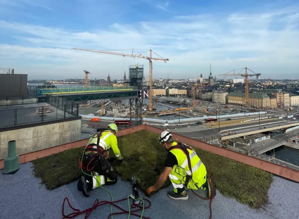 476862676 637064362191175 9166908598046587926 n